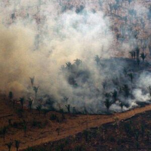 Deforestation in Brazil's Amazon rainforest