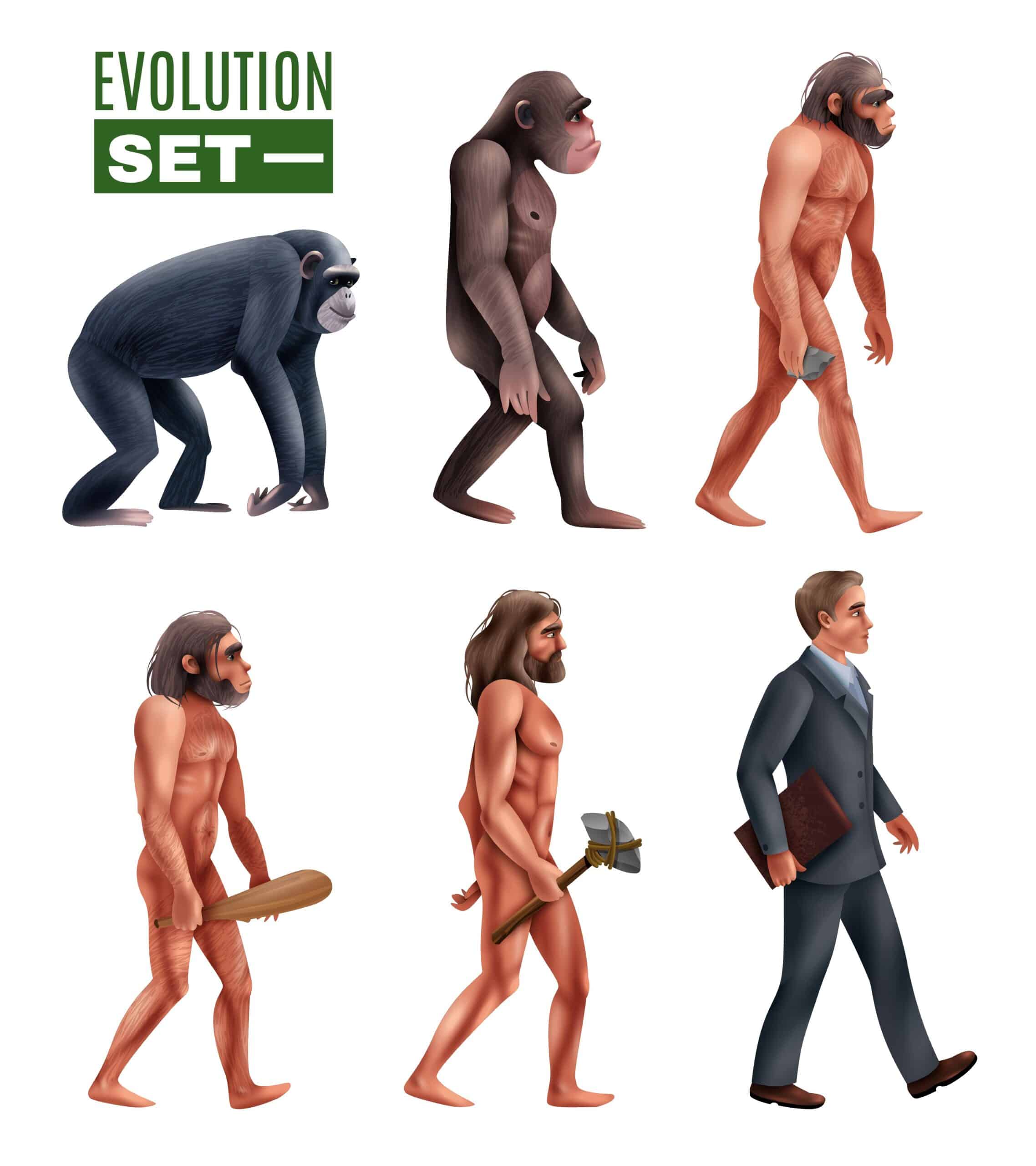 Evolution from Ape to Man