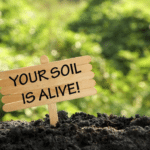 IS SOIL ALIVE?