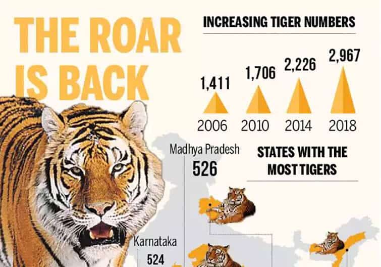 Tiger census pictorial depiction