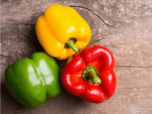 red,green and yellow capsicum