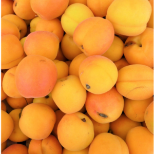 image of bunch of apricots 