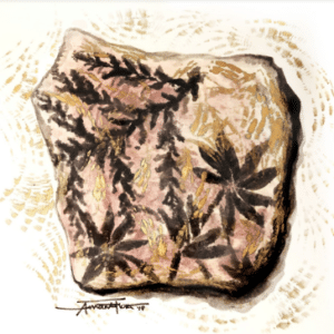 paleobotany