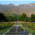 The garden of bliss, view of dal lake from the garden,cascading waterfalls through the terraces,beautiful flowers and the fountain