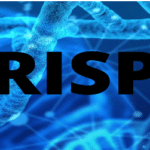 CRISPR