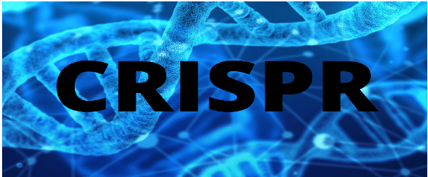 CRISPR