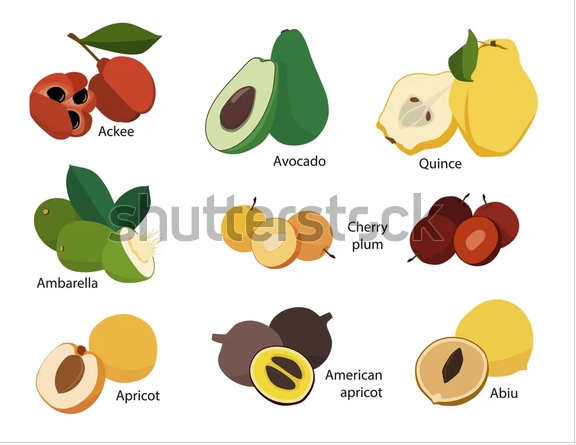 Different kinds of fruit that have only one seed