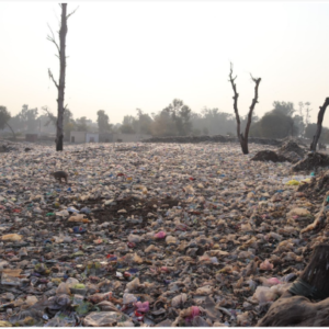 Ground covered with single-use plastic