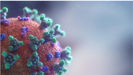 Monoclonal antibodies in cancer therapy