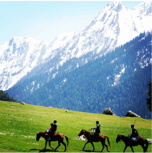 horse riding in the valley