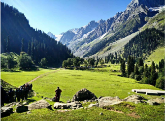  lush green meadows in the valley