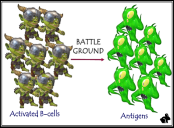 B-cell fighting antigens