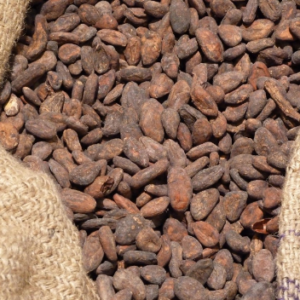 Cocoa beans