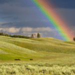 rainbow in the meadows