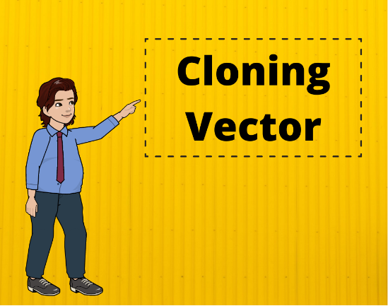 Cloning Vector