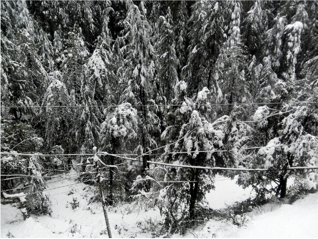 Winters in Shimla