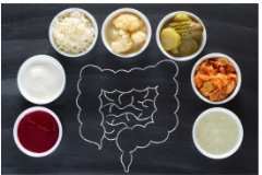 Source of probiotics benefitted for intestinal Microbiota