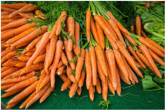 carrots lying on the ground