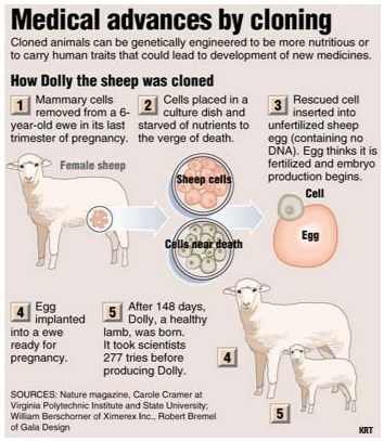Medical Advances by Cloning technology