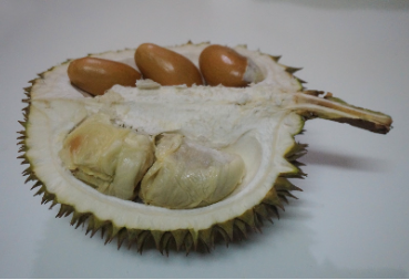Durian seeds 