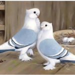 White Pigeons