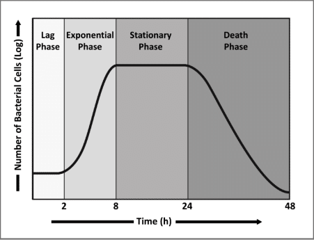 graph showing four sections