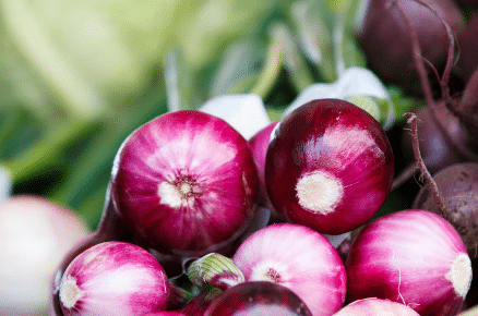 Red coloured onions Vegetative propagation