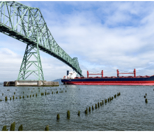 Ship sailing under the bridge