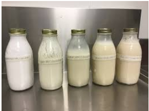 Acidophilus milk, dairy and non-dairy