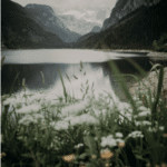 Flowers and grass are seen along the lakeside with mountains in the background