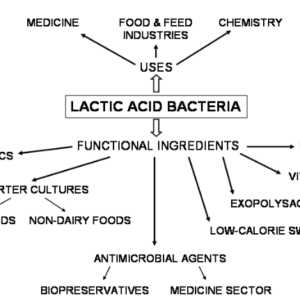 Lactobacillus nasalidis1
