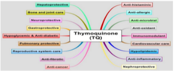  Different branches of thymoquinone