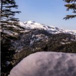 Trees and mountain top covered in snow