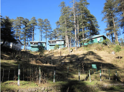 Blue coloured Houses in a hilly area surrounded by trees