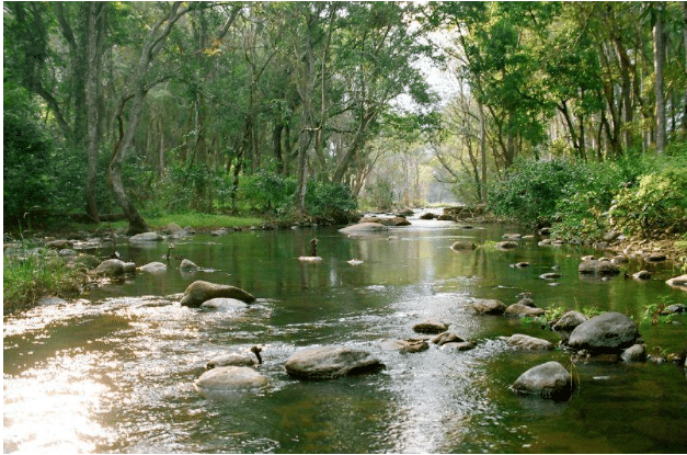 Chinnar Wildlife Sanctuary