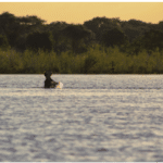 A boat in the middle of a river with trees in the background