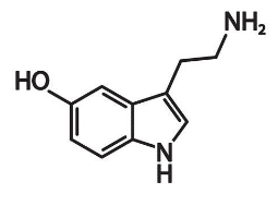 Serotonin 