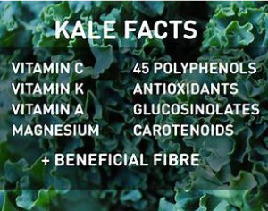 Kale facts