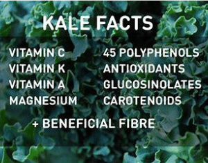 Kale facts