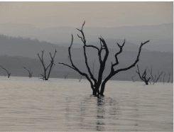 The Bhadra Wildlife Sanctuary