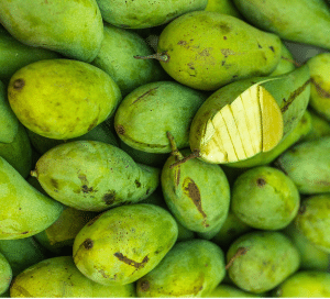 Totapuri Mangoes