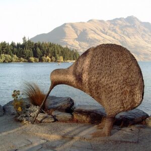 big kiwi