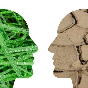 the debate- anthropocentrism vs. biocentrism
