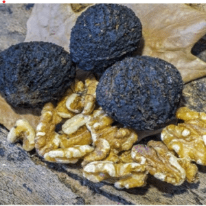 Black walnuts