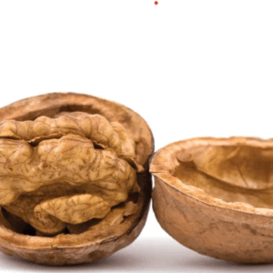 walnut