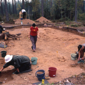 Environmental archaeologists